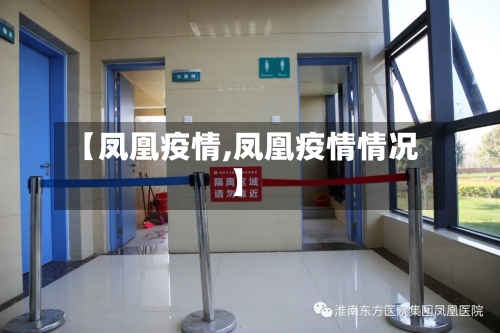 【凤凰疫情,凤凰疫情情况】